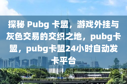探秘 Pubg 卡盟，游戏外挂与灰色交易的交织之地，pubg卡盟，pubg卡盟24小时自动发卡平台