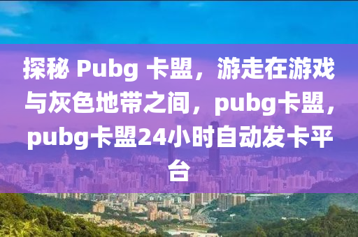 探秘 Pubg 卡盟，游走在游戏与灰色地带之间，pubg卡盟，pubg卡盟24小时自动发卡平台