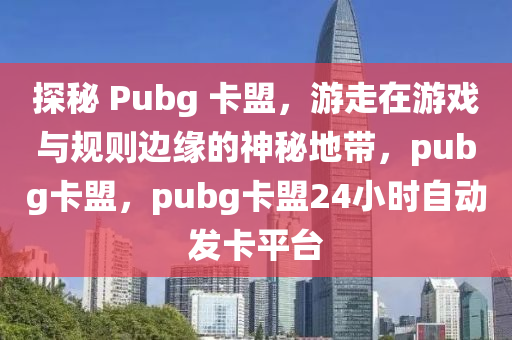 探秘 Pubg 卡盟，游走在游戏与规则边缘的神秘地带，pubg卡盟，pubg卡盟24小时自动发卡平台
