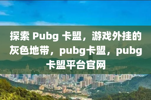 探索 Pubg 卡盟，游戏外挂的灰色地带，pubg卡盟，pubg卡盟平台官网