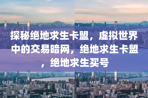 探秘绝地求生卡盟，虚拟世界中的交易暗网，绝地求生卡盟，绝地求生买号