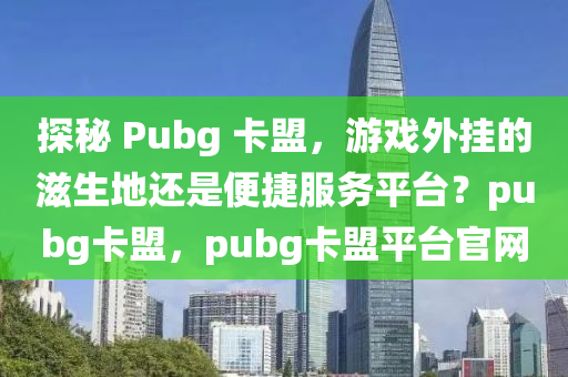 探秘 Pubg 卡盟，游戏外挂的滋生地还是便捷服务平台？pubg卡盟，pubg卡盟平台官网