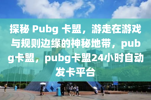 探秘 Pubg 卡盟，游走在游戏与规则边缘的神秘地带，pubg卡盟，pubg卡盟24小时自动发卡平台