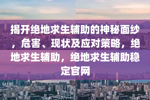 揭开绝地求生辅助的神秘面纱，危害、现状及应对策略，绝地求生辅助，绝地求生辅助稳定官网