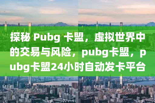 探秘 Pubg 卡盟，虚拟世界中的交易与风险，pubg卡盟，pubg卡盟24小时自动发卡平台