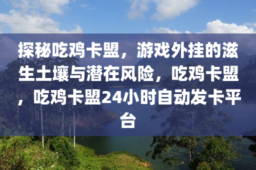 探秘吃鸡卡盟，游戏外挂的滋生土壤与潜在风险，吃鸡卡盟，吃鸡卡盟24小时自动发卡平台