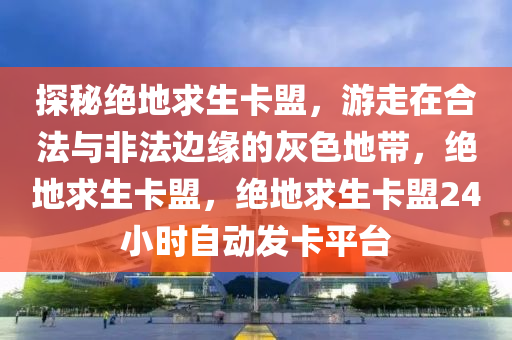 探秘绝地求生卡盟，游走在合法与非法边缘的灰色地带，绝地求生卡盟，绝地求生卡盟24小时自动发卡平台