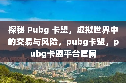 探秘 Pubg 卡盟，虚拟世界中的交易与风险，pubg卡盟，pubg卡盟平台官网