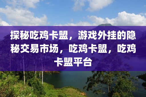 探秘吃鸡卡盟，游戏外挂的隐秘交易市场，吃鸡卡盟，吃鸡卡盟平台