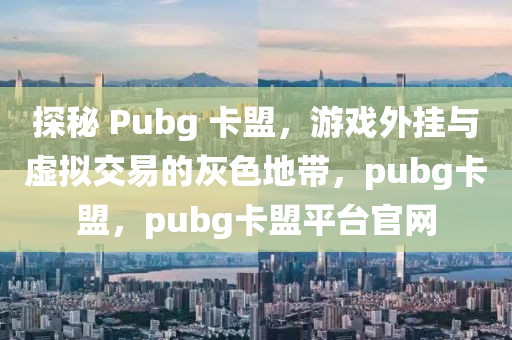 探秘 Pubg 卡盟，游戏外挂与虚拟交易的灰色地带，pubg卡盟，pubg卡盟平台官网