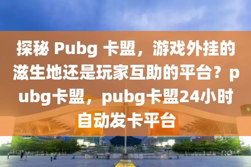 探秘 Pubg 卡盟，游戏外挂的滋生地还是玩家互助的平台？pubg卡盟，pubg卡盟24小时自动发卡平台
