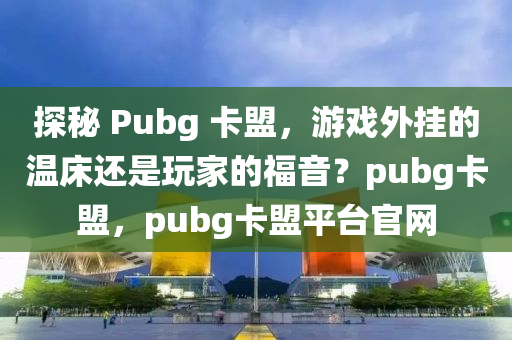 探秘 Pubg 卡盟，游戏外挂的温床还是玩家的福音？pubg卡盟，pubg卡盟平台官网