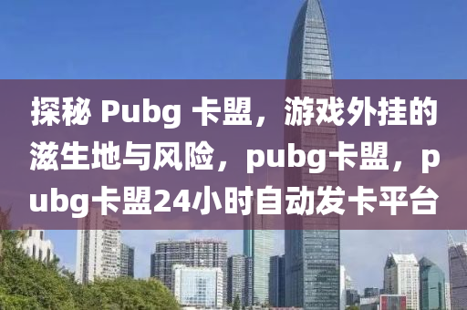 探秘 Pubg 卡盟，游戏外挂的滋生地与风险，pubg卡盟，pubg卡盟24小时自动发卡平台