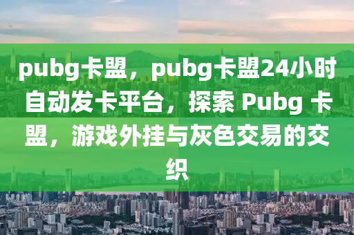 pubg卡盟，pubg卡盟24小时自动发卡平台，探索 Pubg 卡盟，游戏外挂与灰色交易的交织