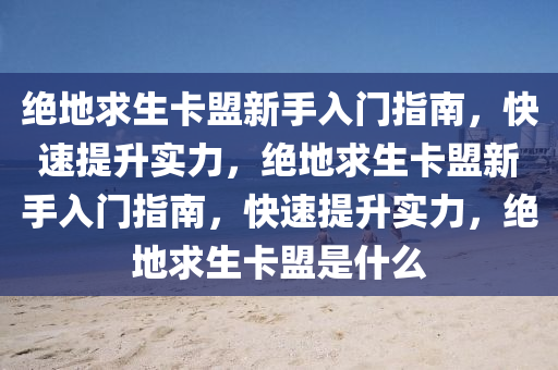 绝地求生卡盟新手入门指南，快速提升实力，绝地求生卡盟新手入门指南，快速提升实力，绝地求生卡盟是什么