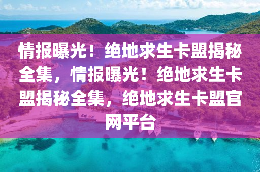 情报曝光！绝地求生卡盟揭秘全集，情报曝光！绝地求生卡盟揭秘全集，绝地求生卡盟官网平台