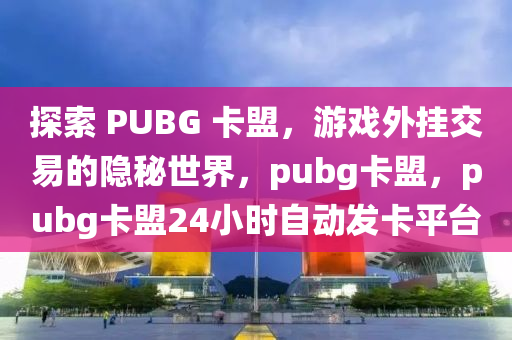 探索 PUBG 卡盟，游戏外挂交易的隐秘世界，pubg卡盟，pubg卡盟24小时自动发卡平台