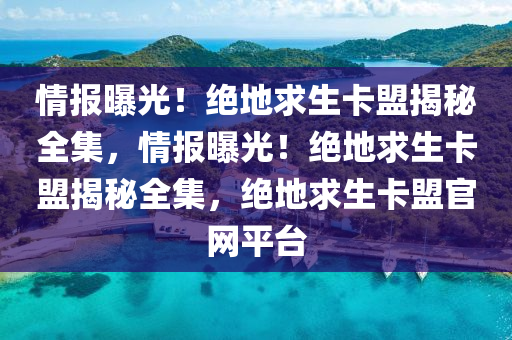 情报曝光！绝地求生卡盟揭秘全集，情报曝光！绝地求生卡盟揭秘全集，绝地求生卡盟官网平台