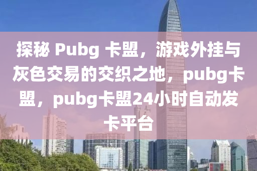 探秘 Pubg 卡盟，游戏外挂与灰色交易的交织之地，pubg卡盟，pubg卡盟24小时自动发卡平台