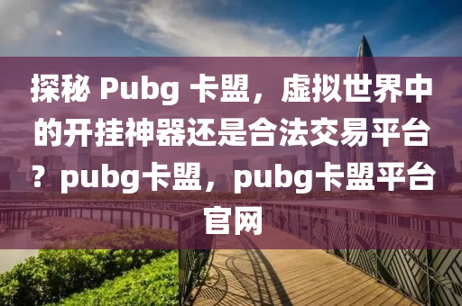 探秘 Pubg 卡盟，虚拟世界中的开挂神器还是合法交易平台？pubg卡盟，pubg卡盟平台官网