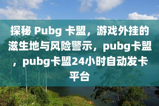 探秘 Pubg 卡盟，游戏外挂的滋生地与风险警示，pubg卡盟，pubg卡盟24小时自动发卡平台