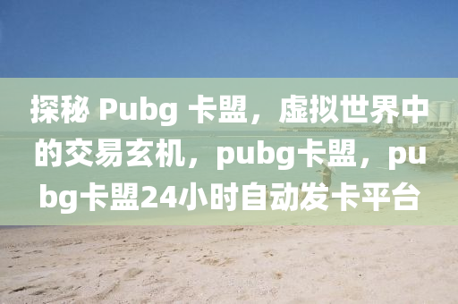 探秘 Pubg 卡盟，虚拟世界中的交易玄机，pubg卡盟，pubg卡盟24小时自动发卡平台