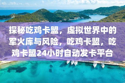 探秘吃鸡卡盟，虚拟世界中的军火库与风险，吃鸡卡盟，吃鸡卡盟24小时自动发卡平台
