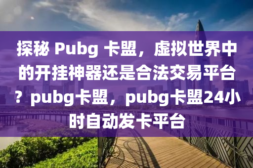 探秘 Pubg 卡盟，虚拟世界中的开挂神器还是合法交易平台？pubg卡盟，pubg卡盟24小时自动发卡平台