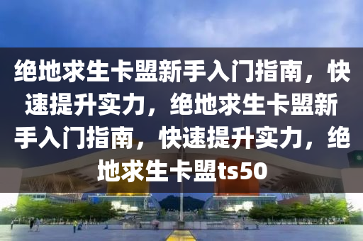 绝地求生卡盟新手入门指南，快速提升实力，绝地求生卡盟新手入门指南，快速提升实力，绝地求生卡盟ts50