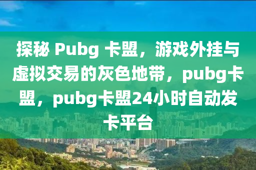 探秘 Pubg 卡盟，游戏外挂与虚拟交易的灰色地带，pubg卡盟，pubg卡盟24小时自动发卡平台
