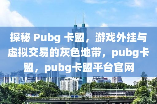 探秘 Pubg 卡盟，游戏外挂与虚拟交易的灰色地带，pubg卡盟，pubg卡盟平台官网
