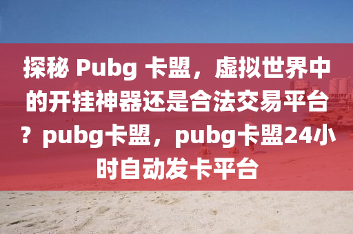 探秘 Pubg 卡盟，虚拟世界中的开挂神器还是合法交易平台？pubg卡盟，pubg卡盟24小时自动发卡平台