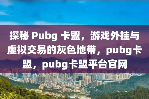 探秘 Pubg 卡盟，游戏外挂与虚拟交易的灰色地带，pubg卡盟，pubg卡盟平台官网