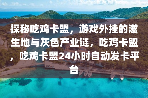 探秘吃鸡卡盟，游戏外挂的滋生地与灰色产业链，吃鸡卡盟，吃鸡卡盟24小时自动发卡平台