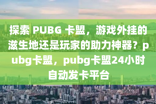 探索 PUBG 卡盟，游戏外挂的滋生地还是玩家的助力神器？pubg卡盟，pubg卡盟24小时自动发卡平台