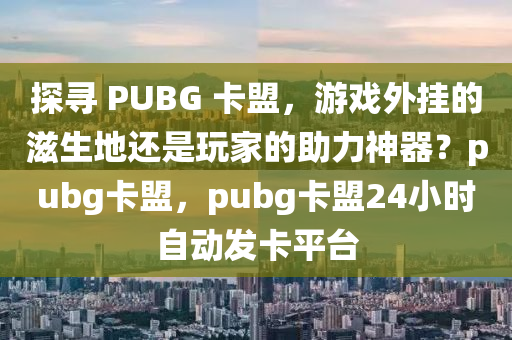 探寻 PUBG 卡盟，游戏外挂的滋生地还是玩家的助力神器？pubg卡盟，pubg卡盟24小时自动发卡平台