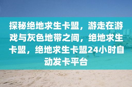 探秘绝地求生卡盟，游走在游戏与灰色地带之间，绝地求生卡盟，绝地求生卡盟24小时自动发卡平台