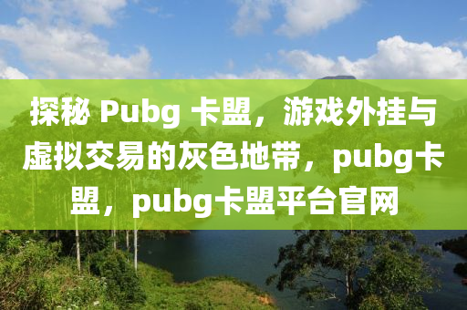 探秘 Pubg 卡盟，游戏外挂与虚拟交易的灰色地带，pubg卡盟，pubg卡盟平台官网