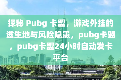 探秘 Pubg 卡盟，游戏外挂的滋生地与风险隐患，pubg卡盟，pubg卡盟24小时自动发卡平台