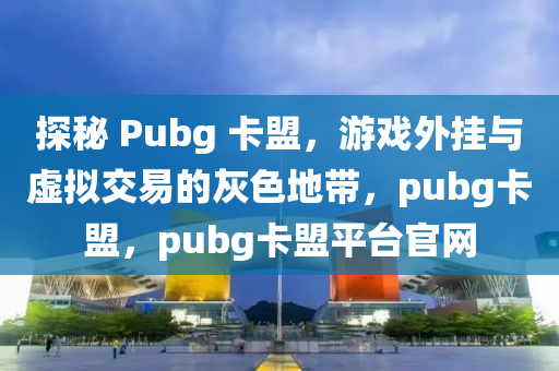 探秘 Pubg 卡盟，游戏外挂与虚拟交易的灰色地带，pubg卡盟，pubg卡盟平台官网