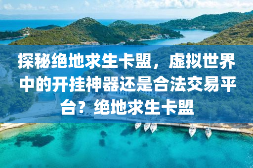 探秘绝地求生卡盟，虚拟世界中的开挂神器还是合法交易平台？绝地求生卡盟
