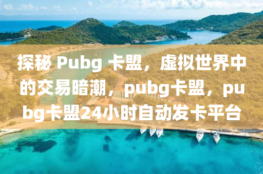 探秘 Pubg 卡盟，虚拟世界中的交易暗潮，pubg卡盟，pubg卡盟24小时自动发卡平台
