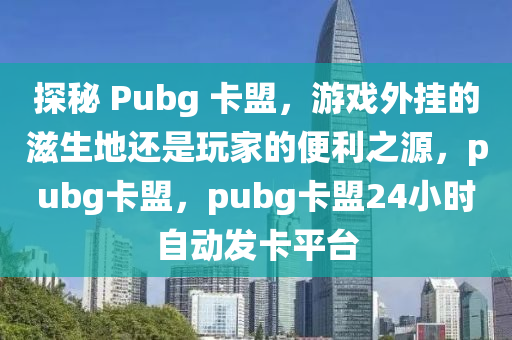 探秘 Pubg 卡盟，游戏外挂的滋生地还是玩家的便利之源，pubg卡盟，pubg卡盟24小时自动发卡平台