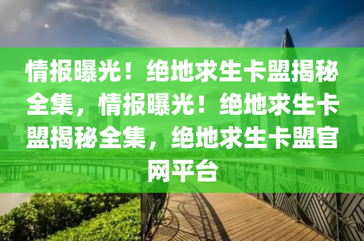 情报曝光！绝地求生卡盟揭秘全集，情报曝光！绝地求生卡盟揭秘全集，绝地求生卡盟官网平台