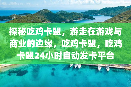 探秘吃鸡卡盟，游走在游戏与商业的边缘，吃鸡卡盟，吃鸡卡盟24小时自动发卡平台