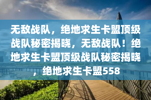 无敌战队，绝地求生卡盟顶级战队秘密揭晓，无敌战队！绝地求生卡盟顶级战队秘密揭晓，绝地求生卡盟558