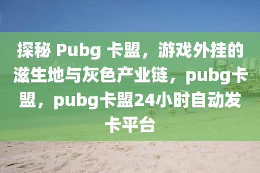 探秘 Pubg 卡盟，游戏外挂的滋生地与灰色产业链，pubg卡盟，pubg卡盟24小时自动发卡平台