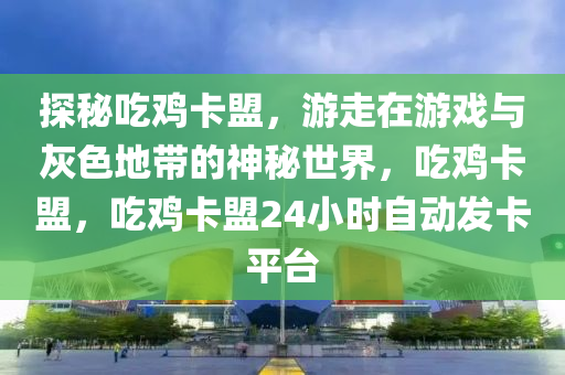 探秘吃鸡卡盟，游走在游戏与灰色地带的神秘世界，吃鸡卡盟，吃鸡卡盟24小时自动发卡平台