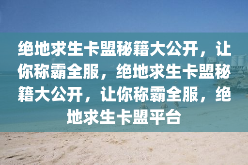 绝地求生卡盟秘籍大公开，让你称霸全服，绝地求生卡盟秘籍大公开，让你称霸全服，绝地求生卡盟平台