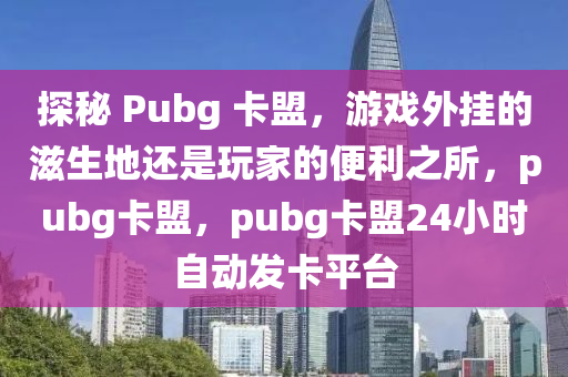 探秘 Pubg 卡盟，游戏外挂的滋生地还是玩家的便利之所，pubg卡盟，pubg卡盟24小时自动发卡平台